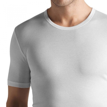 R Shirt Cotton Pure Hanro (HAcp3663)